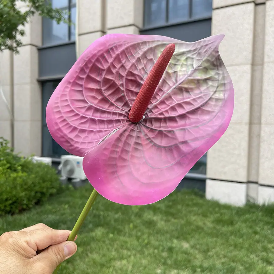 1号3D打印大红掌-xjmlkx 15#玫红.JPG