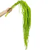 5 Peças de Amaranto Seco, Flores Penduradas Naturais Preservadas de 25", Enchimento Floral Verde para Arco de Casamento e Decoração de Parede