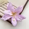 Pinza para el Cabello Doble Orquídea Pasador Accesorio para el Cabello Venta al por Mayor Bohemio Vacaciones en la Playa Pinza para el Cabello Doble Orquídea