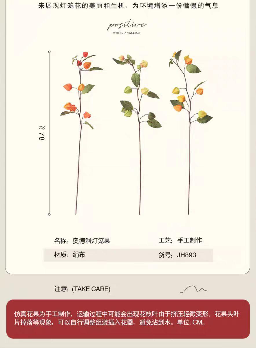 微信图片_20250307110701.jpg