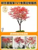 Simulación Arce Rojo Paisajismo Arce Japonés Lujo Ligero Atmósfera Japonesa Significado Zen Árbol Falso Paisajismo de Interiores Nuevo Estilo Chino