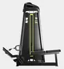 Equipamentos de Academia Comerciais: Máquina Hack Squat Butterfly Precor, Supino, Elevação Lateral, Máquina de Extensão Reversa de Pernas, Extensão de Pernas, Máquina Small Bird, Multifuncional