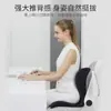 Venta Caliente Cojín de Pétalo para Mascota de Coche Japonés Importado Cojín de Oficina Cojín Ergonómico de Conformación