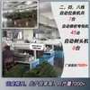 Árbol de Navidad Transfronterizo Simulación Fábrica Fuente Yiwu Venta al por Mayor PVC Enrollado Piñas Blancas Artículos de Decoración Más Vendidos en Amazon