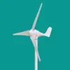 Generador de Aerogenerador Pequeño Hogareño Complementario Eólico-Solar Luz de Calle Exterior Marino 100W a 1000W 12V24V220V