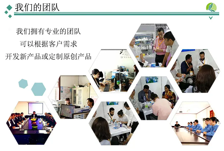 内团队介绍