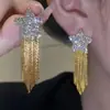 Brincos Longos de Corrente de Metal Exquisite com Pingente de Tassel, Estilo Niche de Luxo Leve, Brincos Simples Elegantes de Moda para Mulheres, Versátil