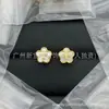 Suministro Exclusivo Transfronterizo de Conjuntos de Aretes, Collares, Pulseras, Anillos y Broches Réplica de Alta Calidad Marca Tb con Etiquetas, Venta al por Mayor