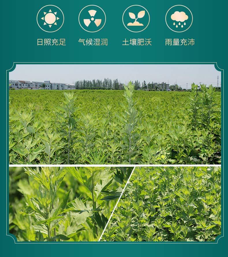 O1CN01xdJwEl1EdnHPcJp13_!!2211