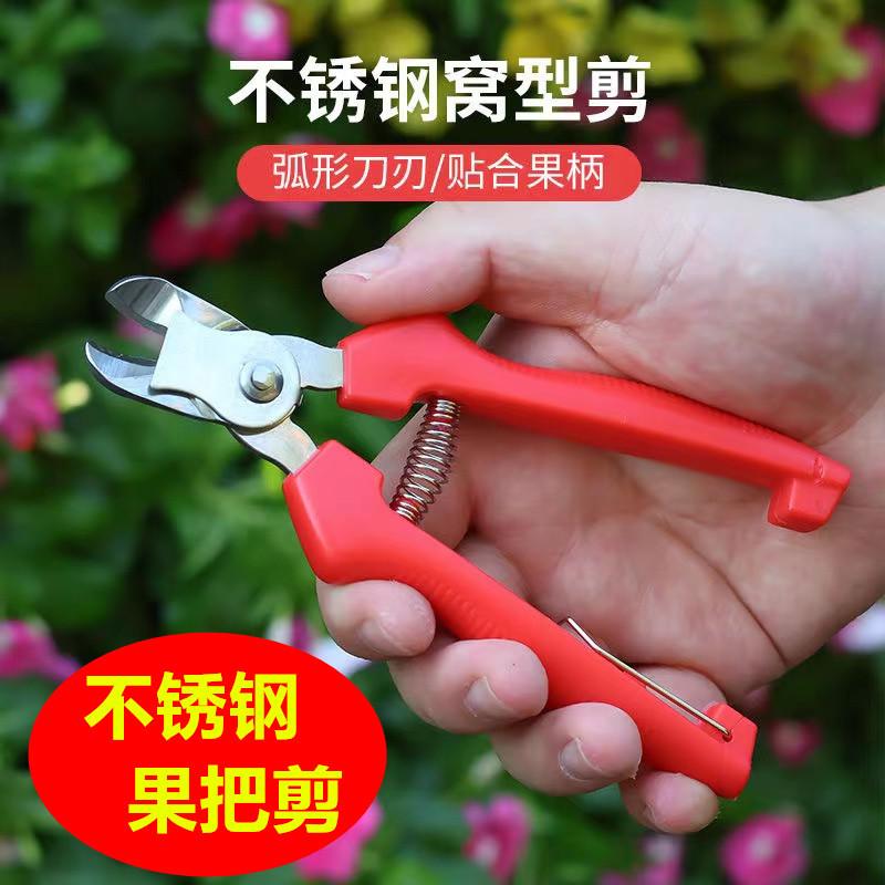 微信图片_20231027084954_副本 - 副本.jp