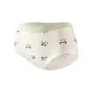 Pantalones Cortos de Algodón Antibacteriano de 10A con Refuerzo de Modal Sin Costuras de Cintura Media Triangulares para Mujer Primavera y Verano