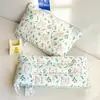 Almofada de Veludo Feijão Conforto Algodão Desenho Animado Infantil Comércio Exterior Puro Algodão Lavável à Máquina Almofada de Soneca para Jardim de Infância Núcleo Venda por Atacado