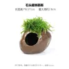 Aquário Musgo Terrário Planta Aquática Paisagismo Planta Real Tanque de Esconderijo para Peixes e Camarões Casa de Camarão Pequeno Ornamento Casa de Esconderijo para Criação de Peixes Pequenos