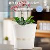 Vaso de Flores Cerâmico Estilo Ins Nórdico fosco simples para interior Phalaenopsis tulipa verde vaso grande para plantas verdes