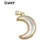 WT-JP326 Pendientes Colgantes Creativos Lindos Pequeños con Diseño de Luna de Moda y Concha Dorada Curva