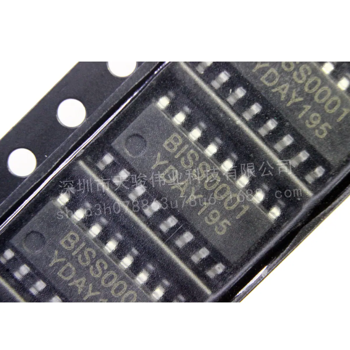 BISS0001 (1)