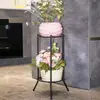 Soporte de flores de hierro forjado, estilo europeo, de pie, estante para macetas de interior de varios niveles para sala de estar y balcón, adecuado para plantas en maceta como plantas araña y plantas en maceta.
