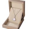 Collar de falda con concha abanico de alta calidad, cadena para clavícula de acero de titanio que no se decolora, colgante en línea de concha blanca natural y concha de abanico