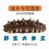 Estándar Nacional Listo para Comer Pepino de Mar Pepino de Mar Rey Salvaje Pepino de Mar de Dalian Bolsa de 500g Fabricante Mayorista Fabricante de Pepino de Mar Fresco