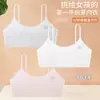 Popular Moderna Periodo de Desarrollo Adolescente para Niñas Taza Fija Anti-Golpes No Muestra el Pecho Chaleco Cómodo Amigable con la Piel para Mujeres
