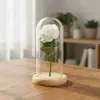 Ramo de Flores Eternas de Rosa Transfronterizo en Cúpula de Cristal, Caja de Regalo para el Día de San Valentín, Producto Terminado, Regalo de Navidad para el Día de la Madre
