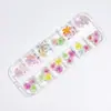 Grade 12 Mista 3D Resina Arte de Unha Flores Pequenas Flores Gradiente Transparentes Estilo Fresco de Primavera Decoração de Unha