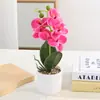 Nuevo Bonsái de Phalaenopsis Cilíndrico de Cinco Cabezas Fotografía Foto Arreglo Flor Artificial en Maceta Decoración Hogar Sala de Estar Artificial