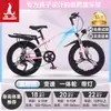 Bicicleta Infantil Phoenix para Niñas de 6-12-15 Años, Adolescentes, Niños Mayores, Bicicleta de Montaña con Cambios para Estudiantes