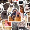 202 adesivos de meme de gato criativos engraçados fofos pet vento ins livro de mão capa de celular adesivos à prova d'água