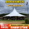 Estructura de Membrana de Tensión Paisajística Personalizada de Fábrica Marquesina Solar para Parque al Aire Libre Estructura de Membrana PVDF Ingeniería Paisajística