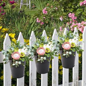 flower pots