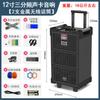 COV Audio Bluetooth Alta Qualidade de Som Grande Volume 2021 Outdoor Pull Rod K Song Square Dance Speaker Microfone All-in-One Machine