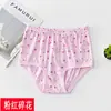 Direto do fabricante: Shorts e Roupa Íntima Leves para Mulheres de Meia-Idade e Idosas, Caimento Solto, Tamanho Grande, 140g, Venda Quente