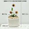 Adornos de Escritorio Hechos a Mano de Flor de Jacinto Suculento Esmaltado Decoración de Maceta de Planta Artificial de Vidrio Micro Paisaje Creativo
