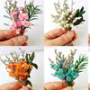 Flores Secas Transfronterizas, Gypsophila, Flores de Cristal, Mini Ramos, Ramos de Punta de Dedo Mezclados y Combinados, Cajas de Regalo, Decoraciones para Tarjetas de Felicitación