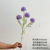 Estilo Nórdico Ins Hogar Vestido Suave Flor de Simulación Diente de León Flor de Boda Bola de Cebolla Cuatro Decoraciones de Hortensia Paisaje