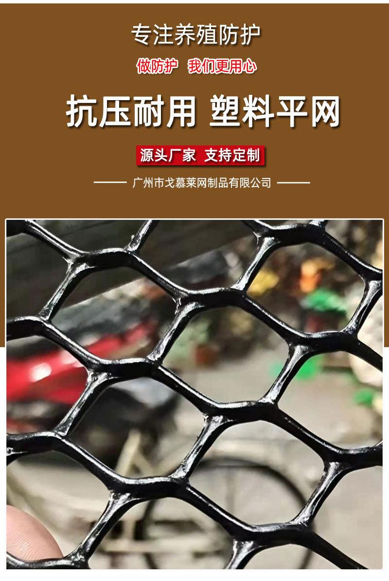 塑料平网_01.jpg