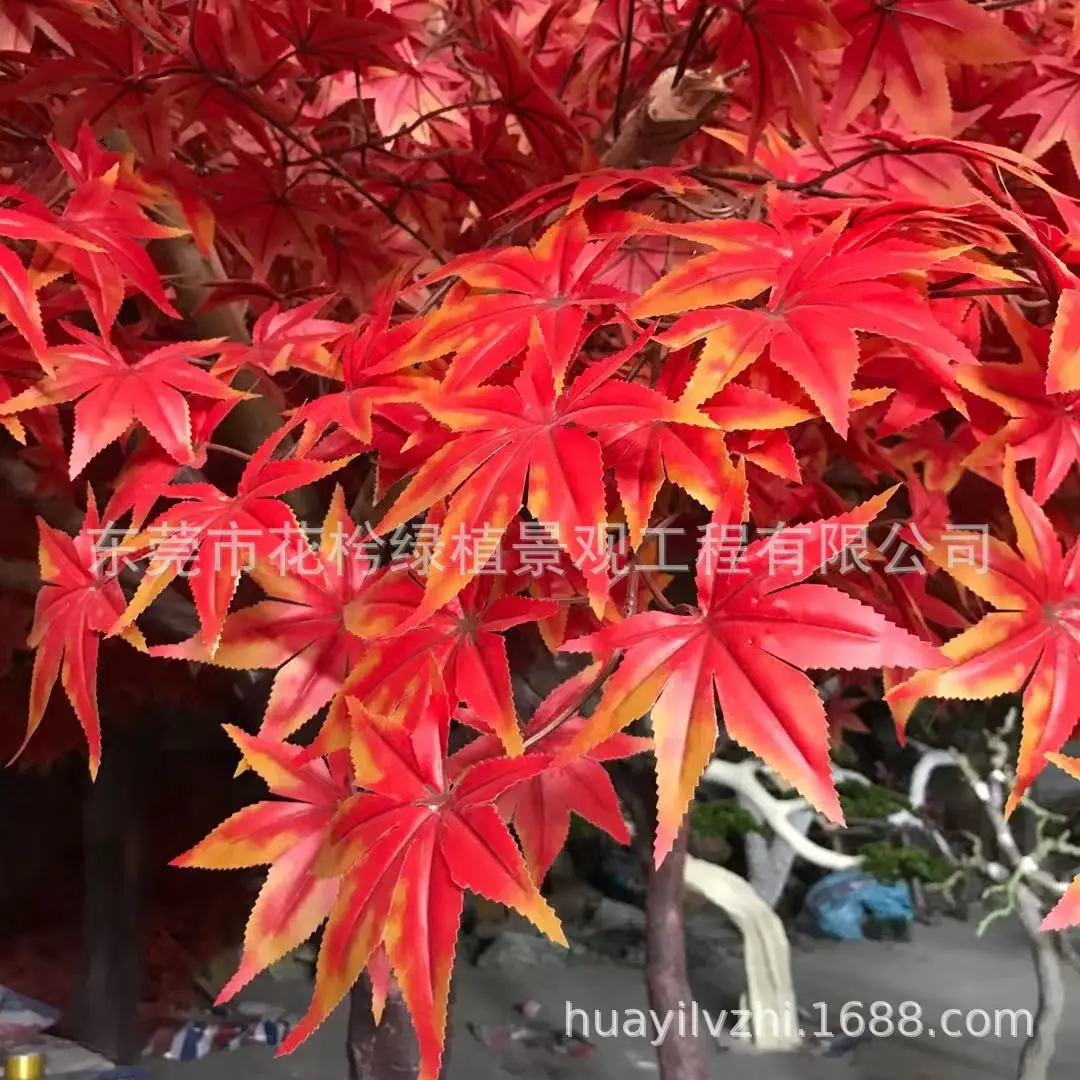 微信图片_201911252235254
