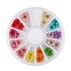 Manicure 12 cores flor seca pequena planta flor seca flor de cinco pétalas Esmalte de unha cola unha de cristal decorações DIY