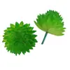 Mini Planta Suculenta Artificial Única Suculenta Falsa Flor Artificial Adorno de Micro Paisaje Oficina Planta Verde Real Artificial Alto