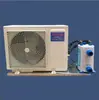 Unidade Refrigeradora Nova para Tanque de Peixes 1P2P3 HP Máquina de Refrigeração para Tanque de Peixes e Frutos do Mar Máquina Termostática para Aquicultura de Frutos do Mar Chiller Industrial