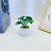 Película de Pantalla de Seda Simulada de 8 Hojas Fondo de Foto de Planta Verde en Maceta Diseño Maceta de Plástico Escritorio de Sala de Estar Mini Bonsái