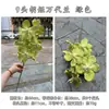 Fabricante de Flores de Ano Novo Orquídea Phalaenopsis de 9 Hastes Balde da Fortuna Balde Abraço Decoração de Casamento Casa Flores Artificiais Atacado