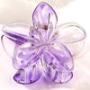 Presilha de Frangipani Colorida Doce de 4cm Venda Quente Transfronteiriça Acessório de Cabelo Doce Acessório de Cabeça Feminino Flor Acessórios de Cabelo Presilha de Cabelo Placa Atacado