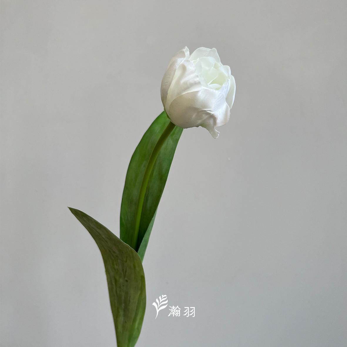 白1