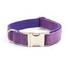 Coleira de Veludo Azul Roxo para Pet 2021 Mais Vendida Transfronteiriça Coleira de Cachorro com Tira Macia Gravada Coleira Grossa de Veludo para Pet