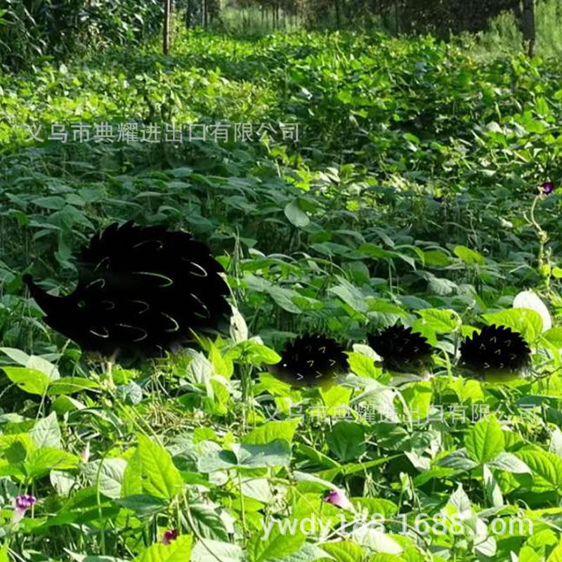 微信图片_20211220115340_副本