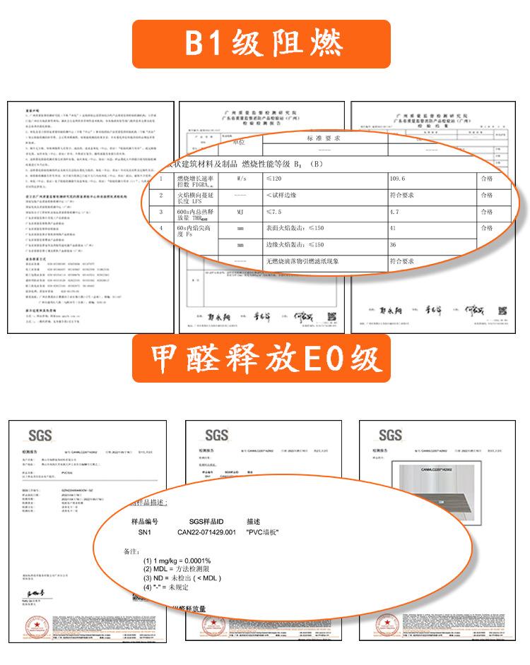 检测报告3