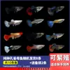 Guppies de Raça Pura, Peixes Ornamentais de Água Doce Pequenos, Peixes Tropicais Fáceis de Criar, Peixes Vivos, Peixes Limpadores, Kinguios Zebra, Peixes Pequenos, Alevinos