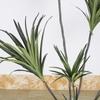 Plantas Verdes Artificiais Grandes para Decoração: Dracena Falsa, Árvore Sangue de Dragão Artificial, Paisagismo de Decoração Suave para Interior, Plantas Verdes Artificiais